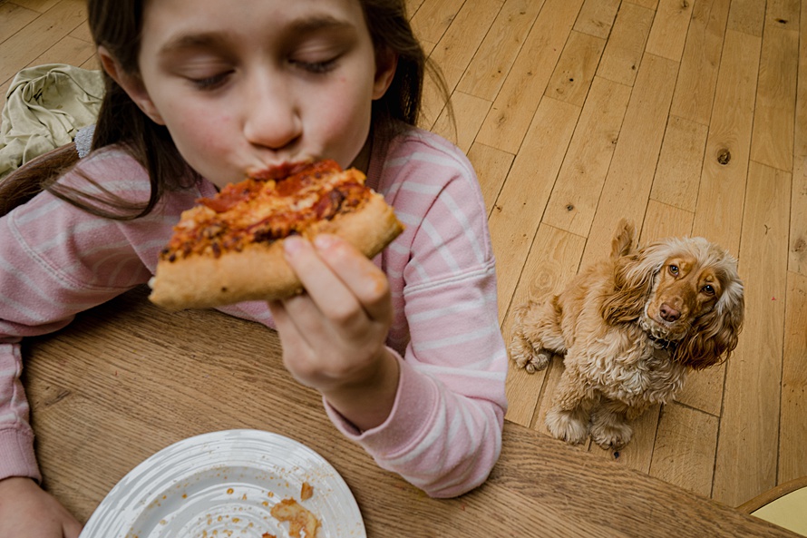 Girl pizza and dog everyday life mealtime routine photograph by Emma Collins